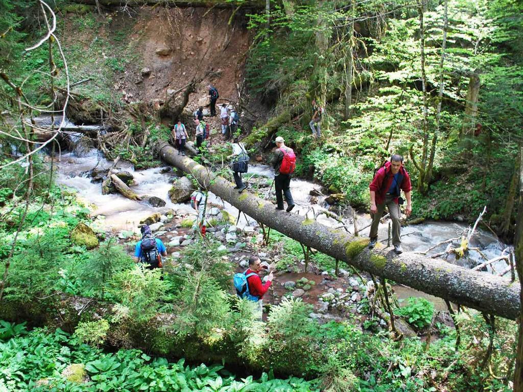 Rafting Camp Tara Center Tri Vodenice Bastasi Dış mekan fotoğraf